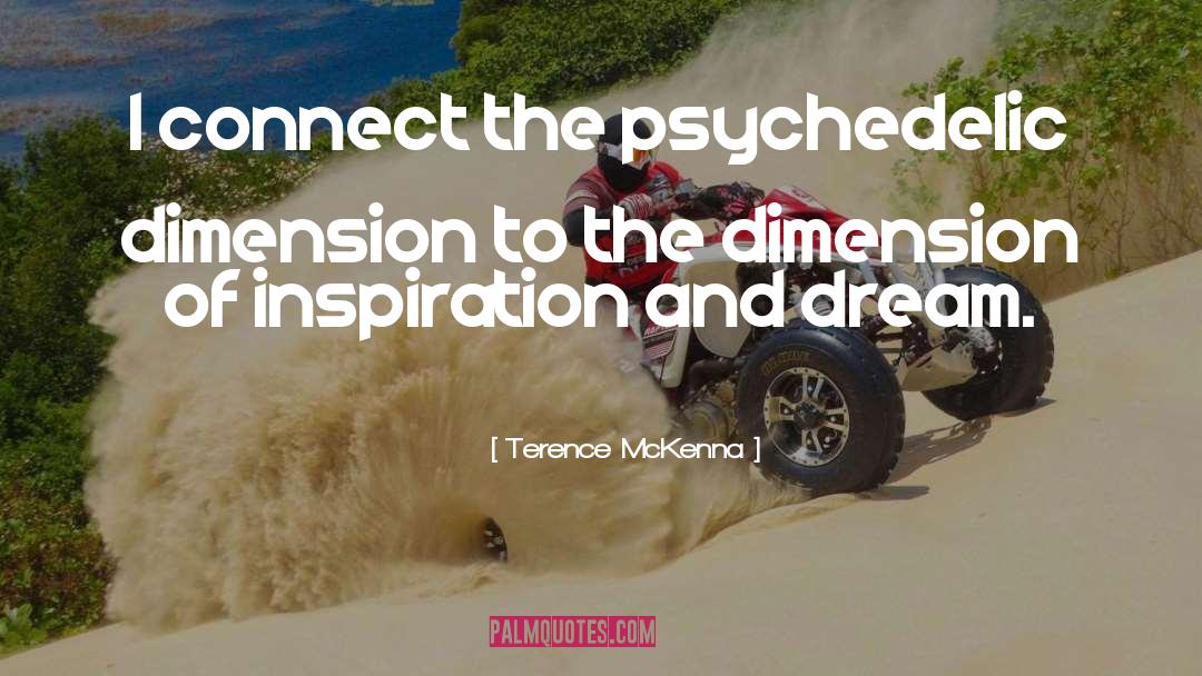 Dimension quotes by Terence McKenna