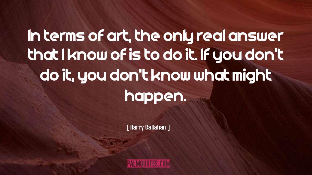 Dimensionality In Art quotes by Harry Callahan