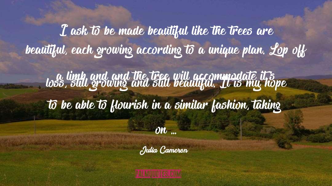 Dimensions quotes by Julia Cameron