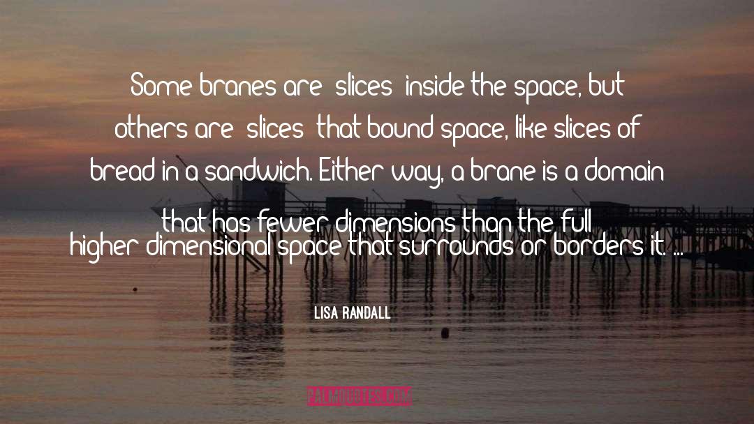 Dimensions quotes by Lisa Randall