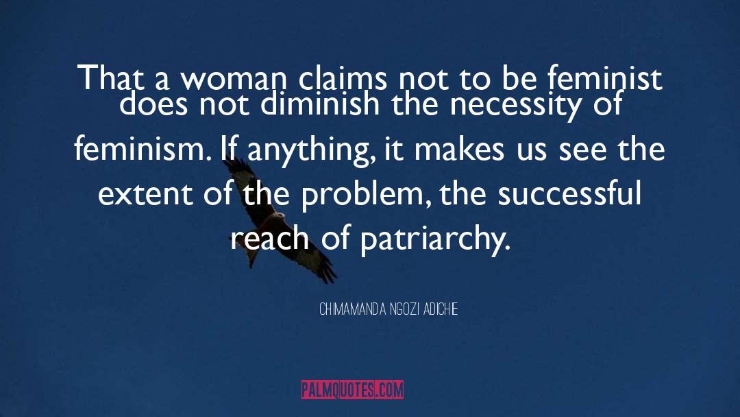 Diminish quotes by Chimamanda Ngozi Adichie