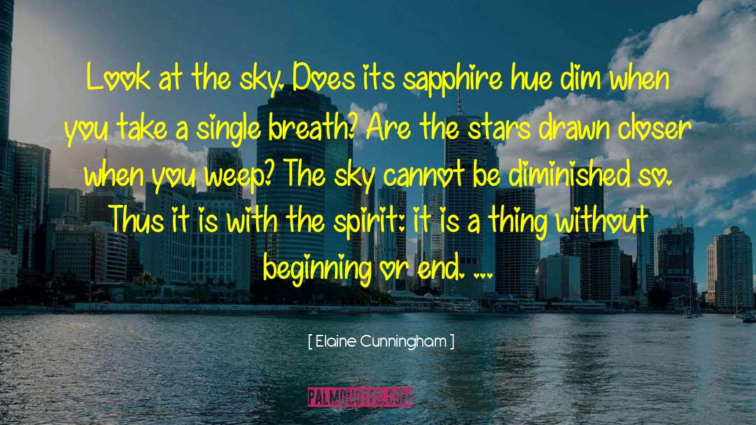 Diminished quotes by Elaine Cunningham