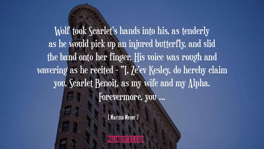 Dimmesdale Scarlet Letter quotes by Marissa Meyer