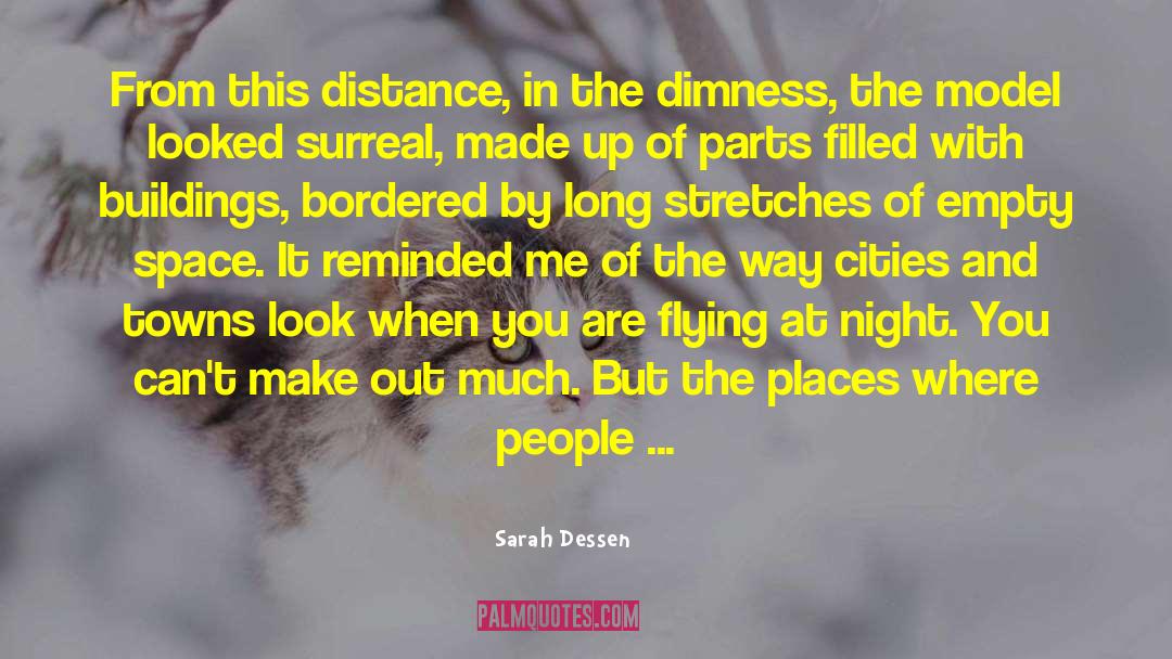 Dimness quotes by Sarah Dessen