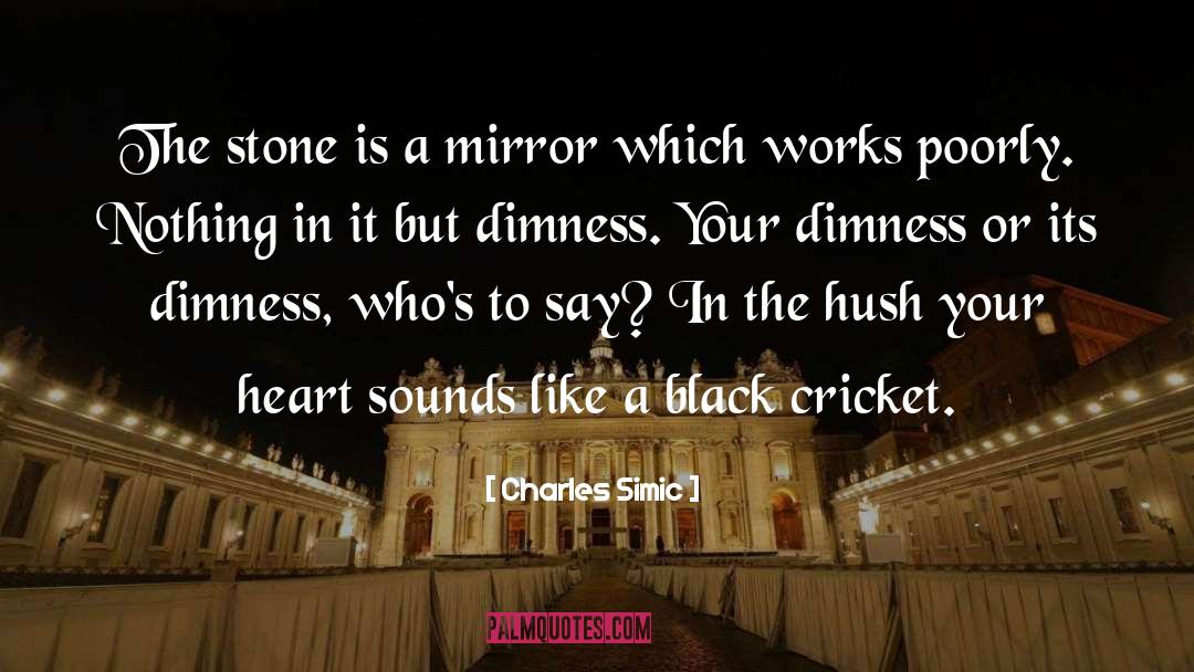 Dimness quotes by Charles Simic