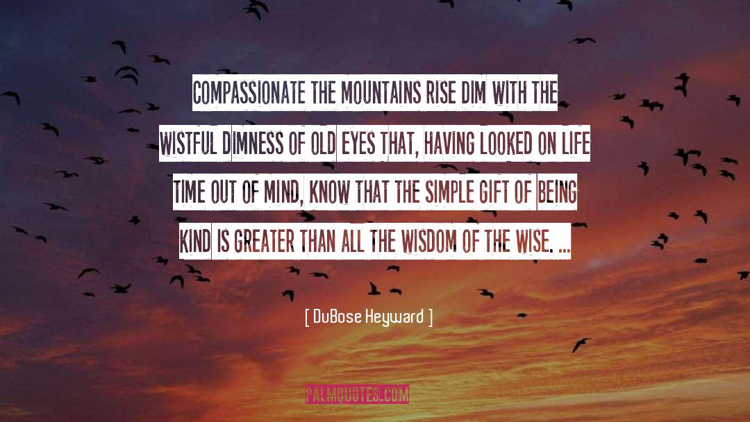 Dimness quotes by DuBose Heyward