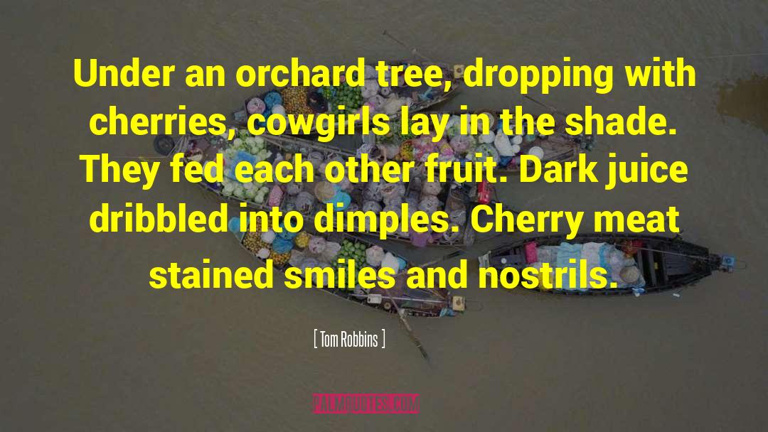 Dimples quotes by Tom Robbins