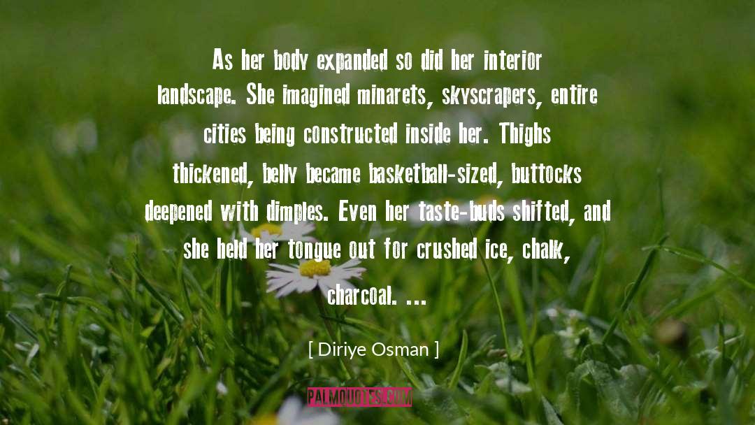 Dimples quotes by Diriye Osman