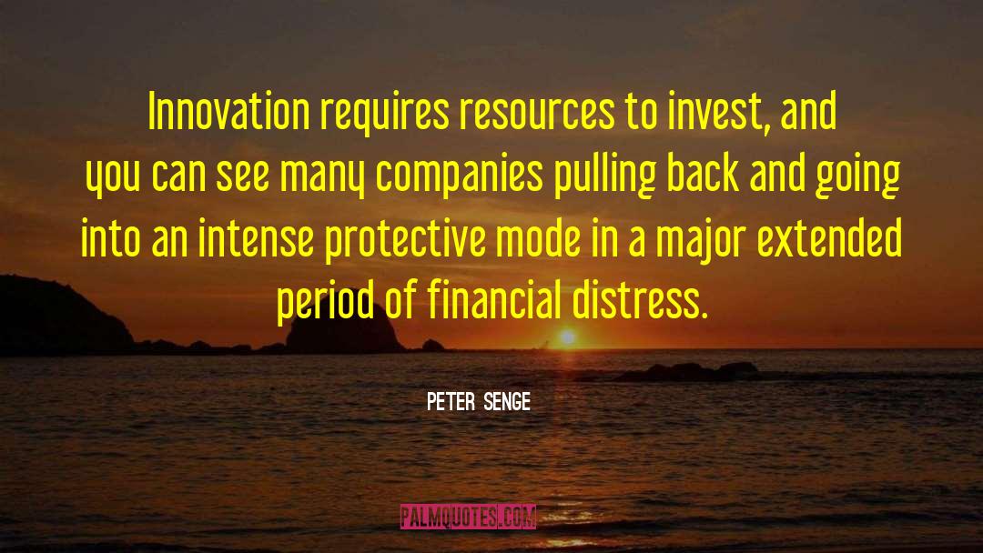 Dimucci Companies quotes by Peter Senge