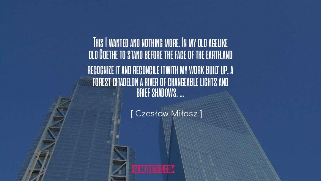 Dinent Citadel quotes by Czesław Miłosz