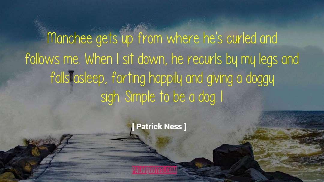 Dingley Falls quotes by Patrick Ness