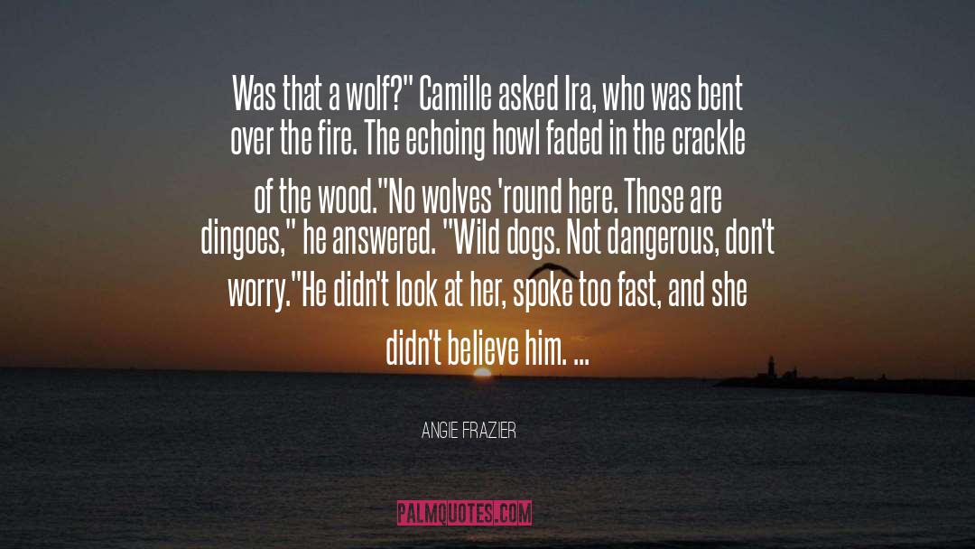 Dingoes quotes by Angie Frazier