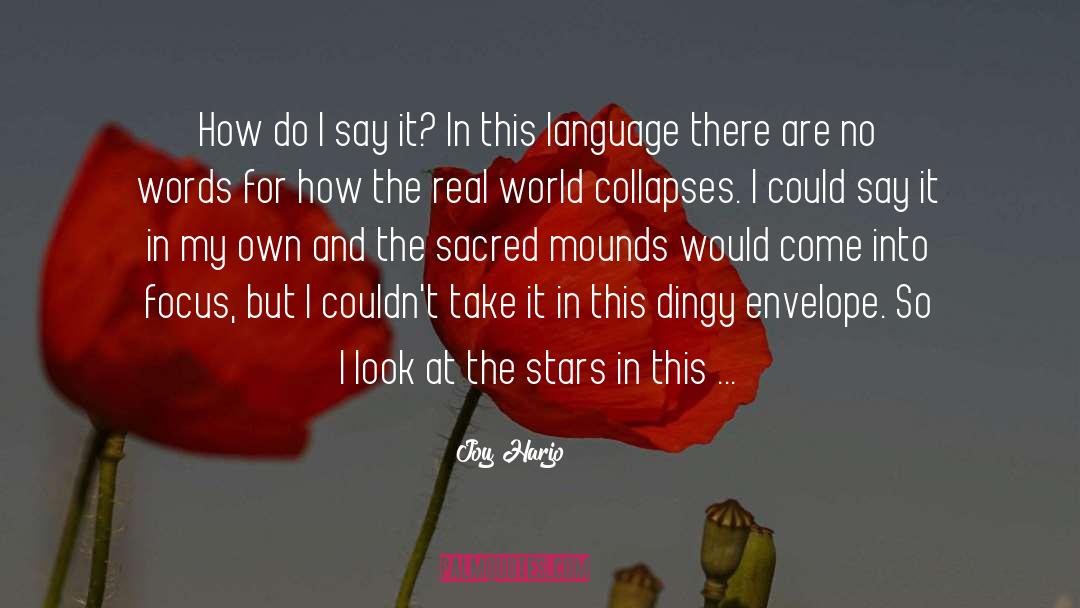 Dingy quotes by Joy Harjo