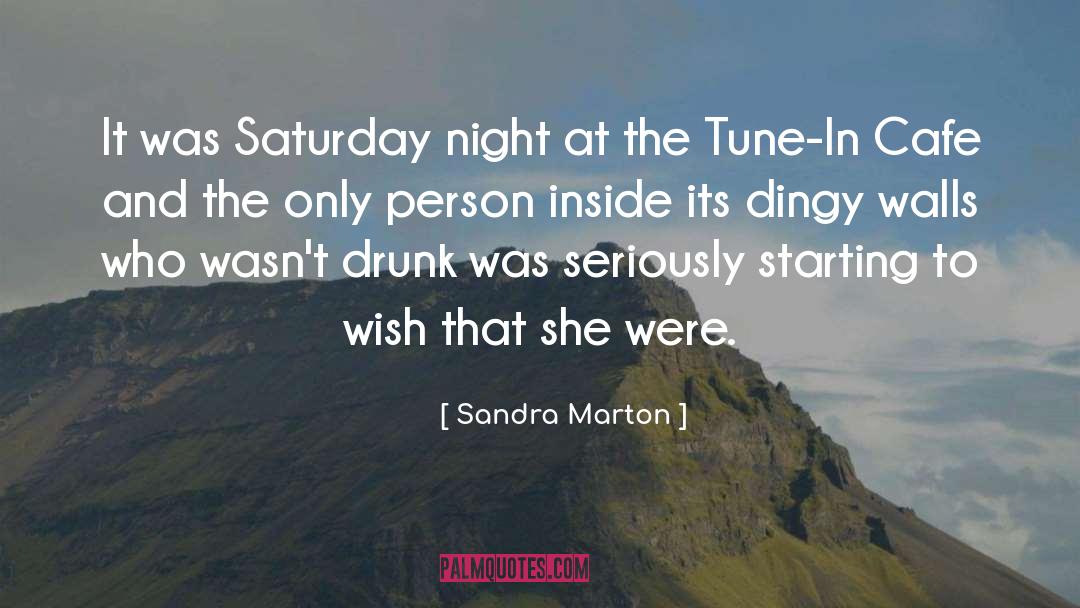 Dingy quotes by Sandra Marton