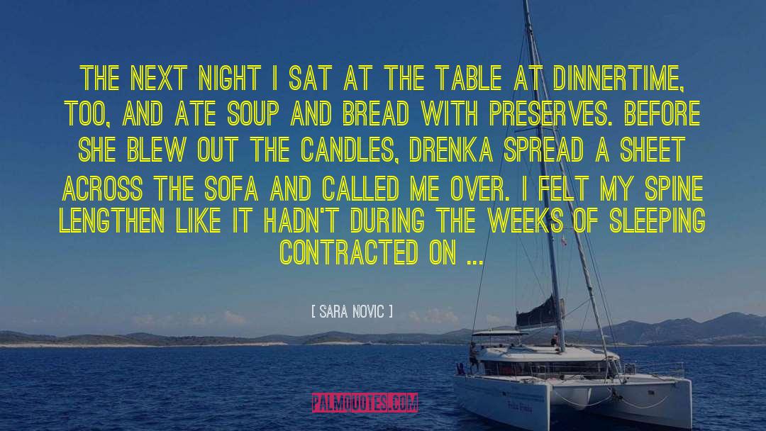 Dinnertime quotes by Sara Novic