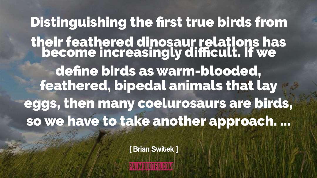 Dinosaur quotes by Brian Switek