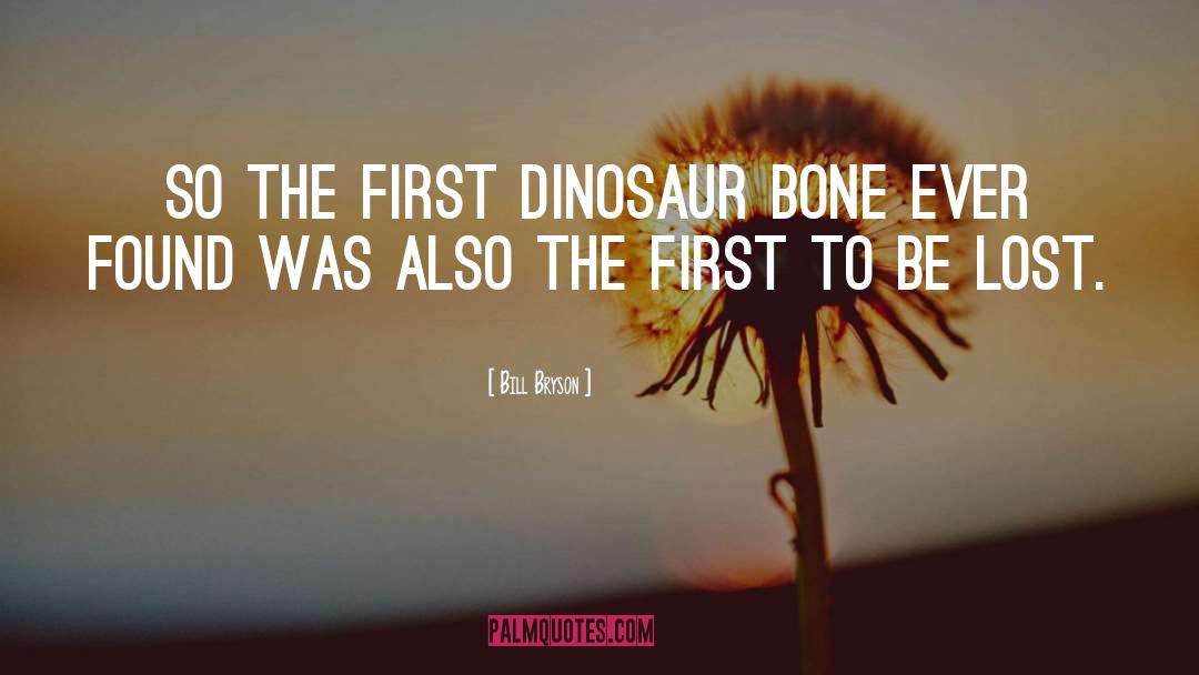 Dinosaur quotes by Bill Bryson