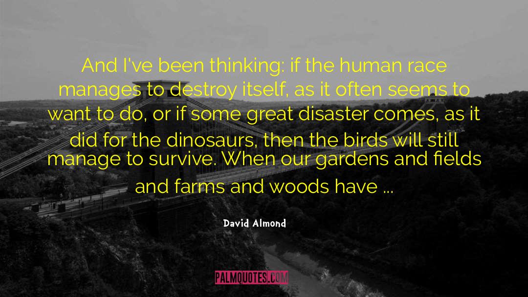 Dinosaurs quotes by David Almond