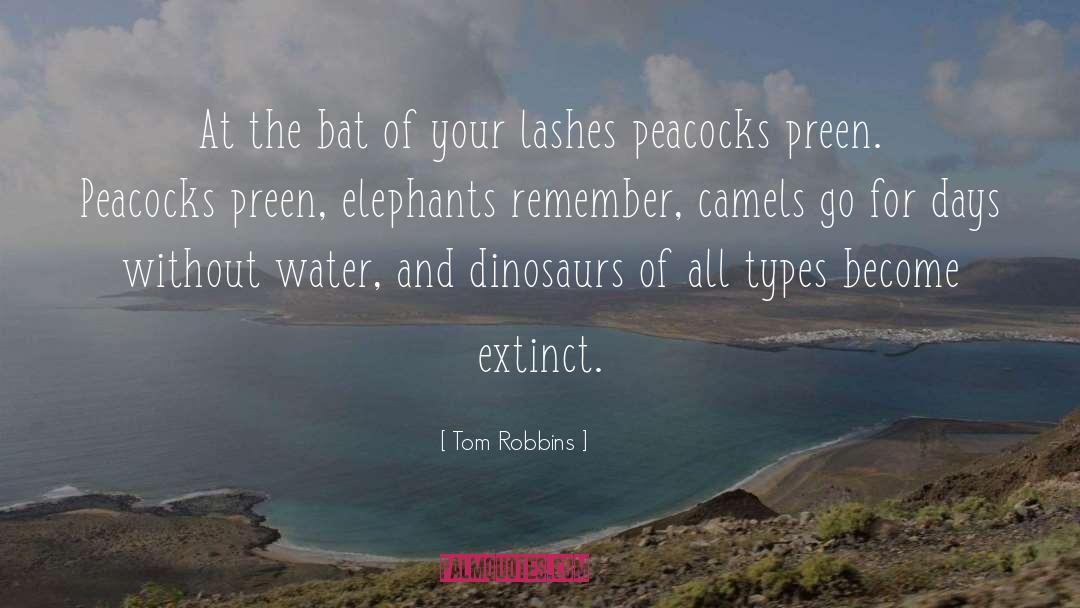 Dinosaurs quotes by Tom Robbins