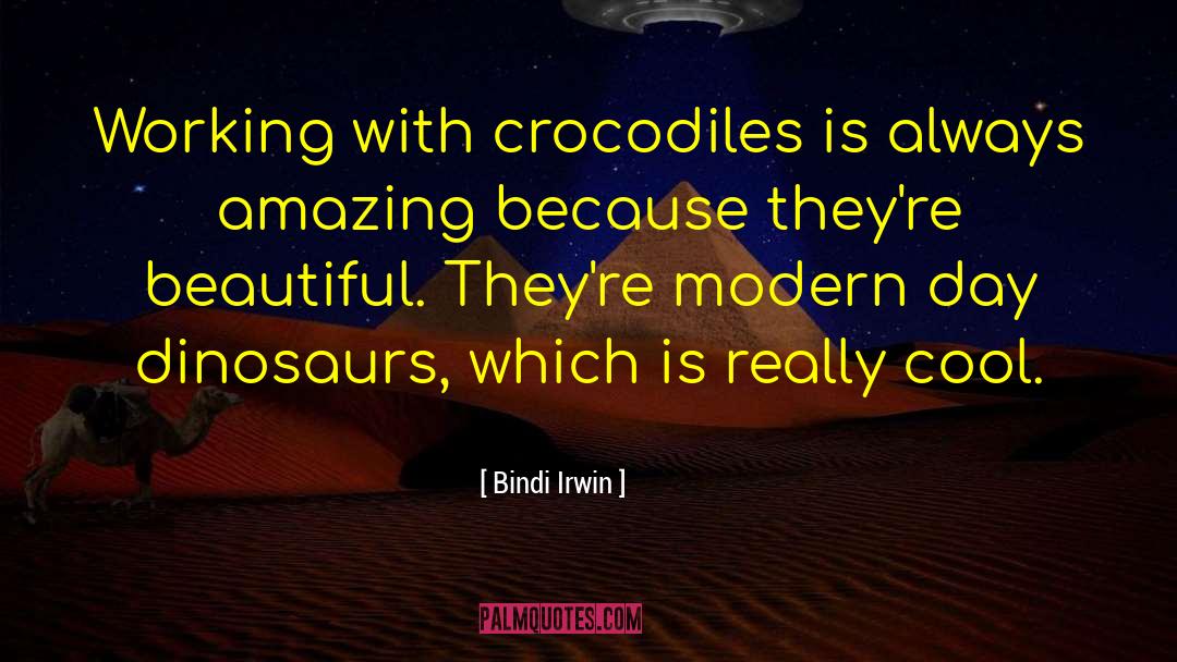 Dinosaurs quotes by Bindi Irwin
