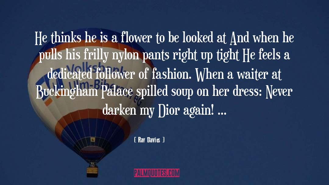 Dior quotes by Ray Davies