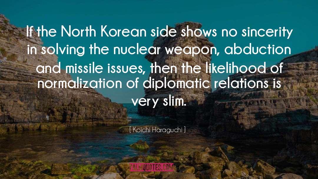 Diplomatic Relations quotes by Koichi Haraguchi