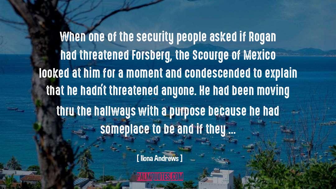 Diplomatic Security quotes by Ilona Andrews