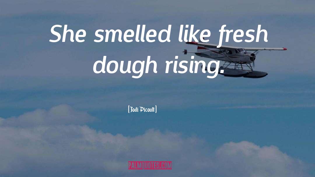 Dippie Dough quotes by Jodi Picoult