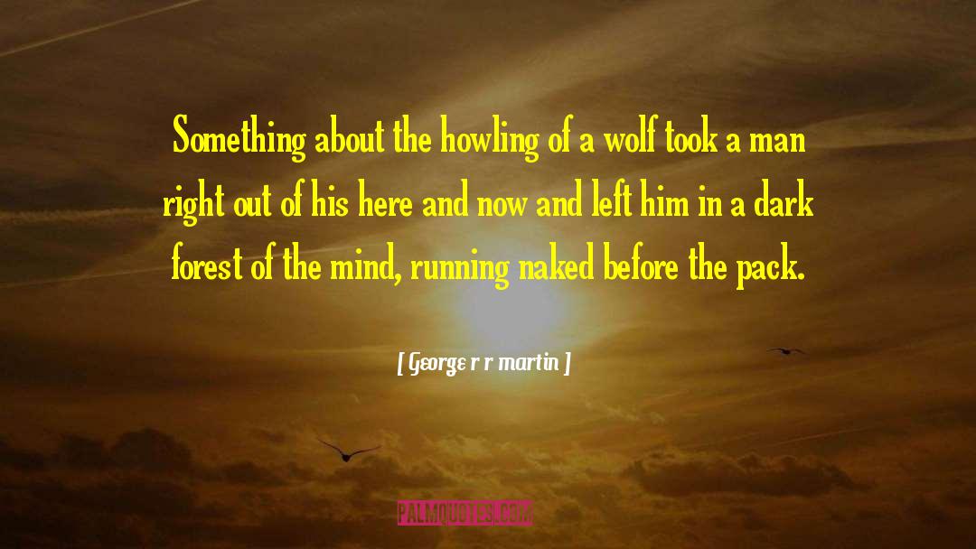 Dire Wolf quotes by George R R Martin