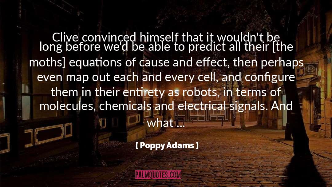 Direct Effect quotes by Poppy Adams