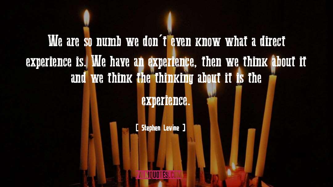 Direct Experience quotes by Stephen Levine