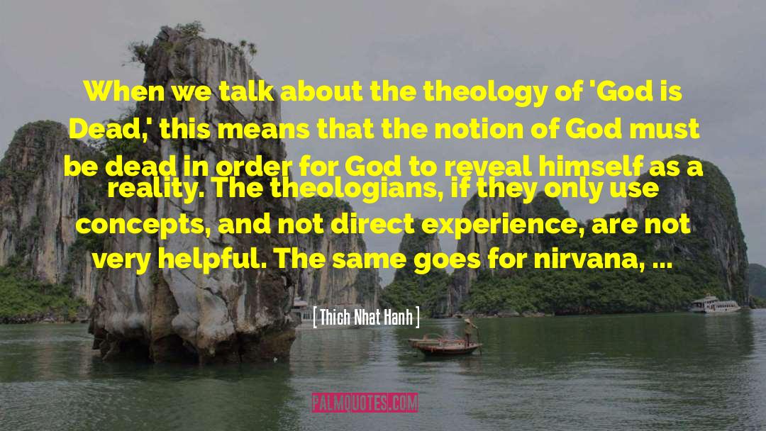 Direct Experience quotes by Thich Nhat Hanh