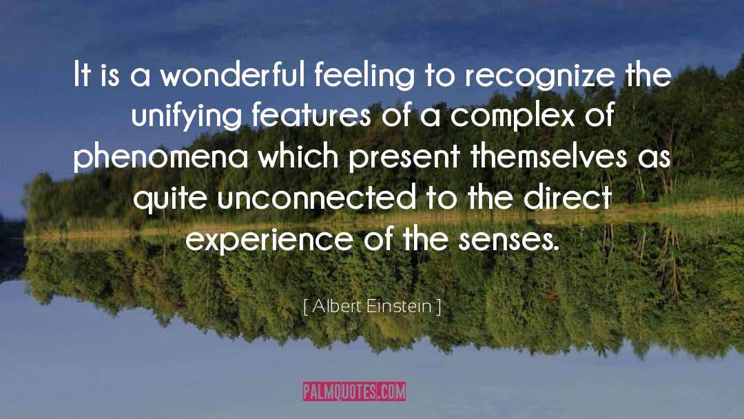 Direct Experience quotes by Albert Einstein