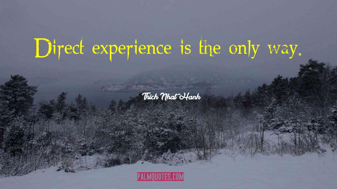 Direct Experience quotes by Thich Nhat Hanh