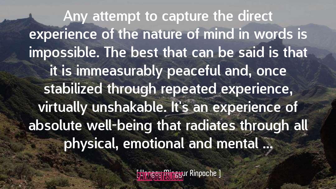Direct Experience quotes by Yongey Mingyur Rinpoche