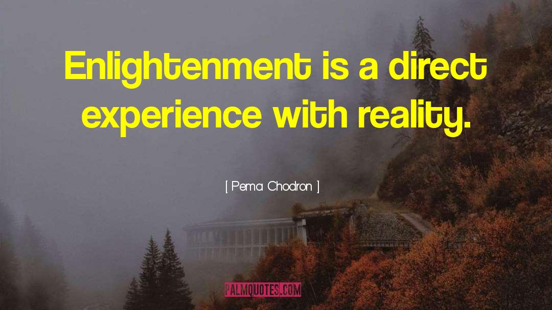 Direct Experience quotes by Pema Chodron
