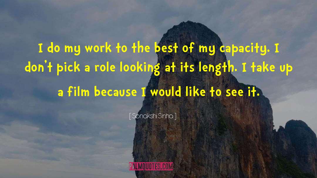 Directing Film quotes by Sonakshi Sinha