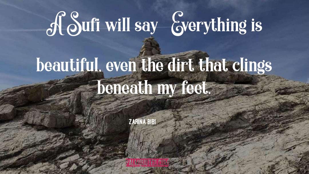Dirt quotes by Zarina Bibi
