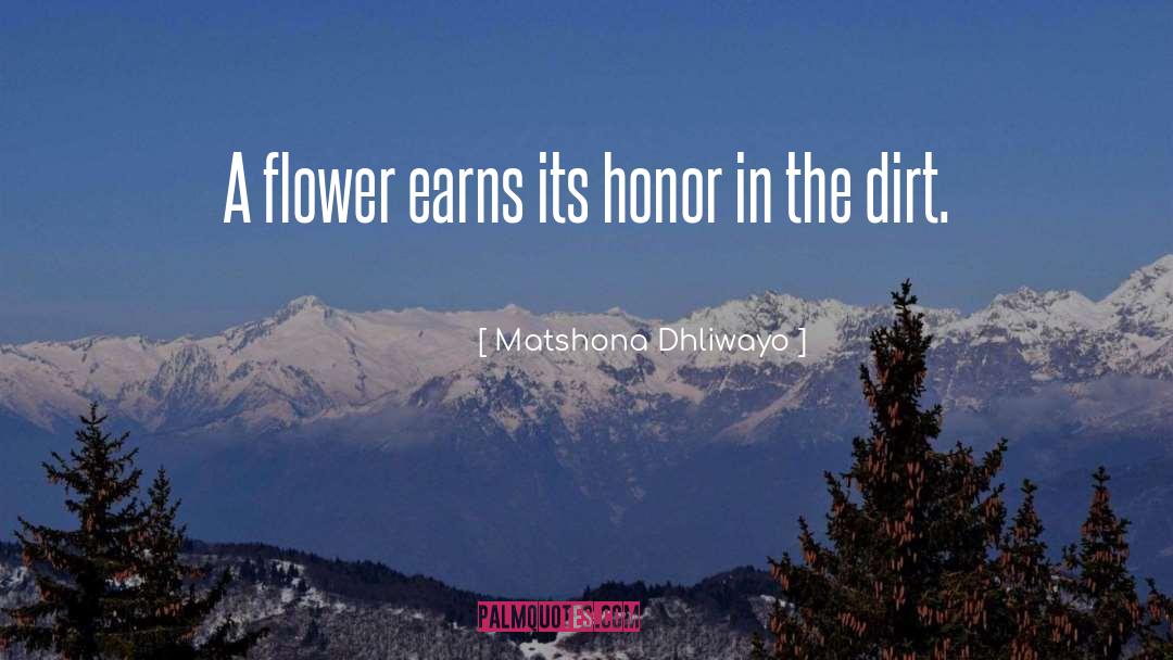 Dirt quotes by Matshona Dhliwayo