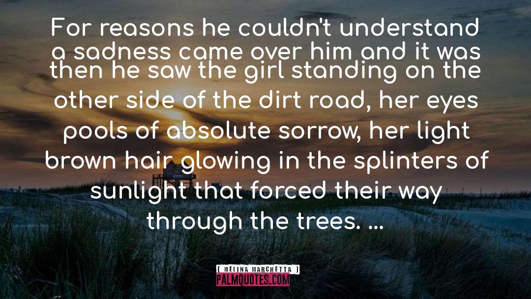 Dirt Road quotes by Melina Marchetta