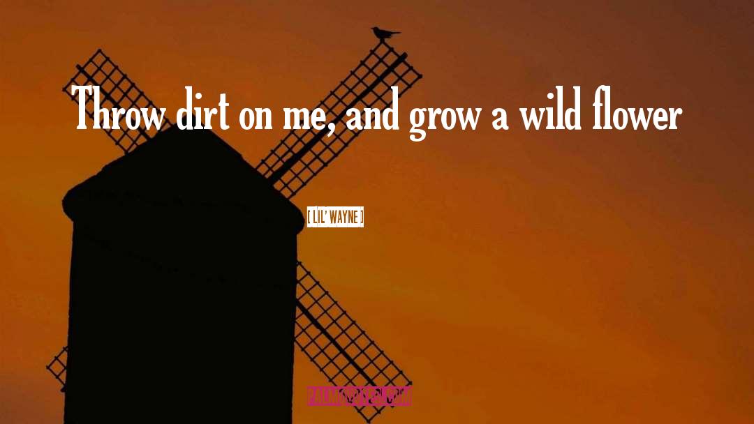 Dirt Roads quotes by Lil' Wayne