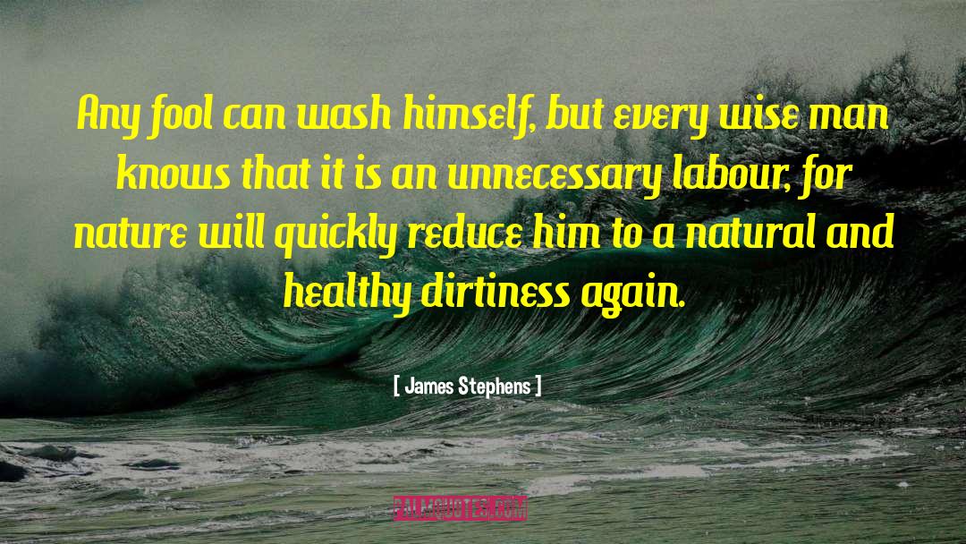Dirtiness quotes by James Stephens