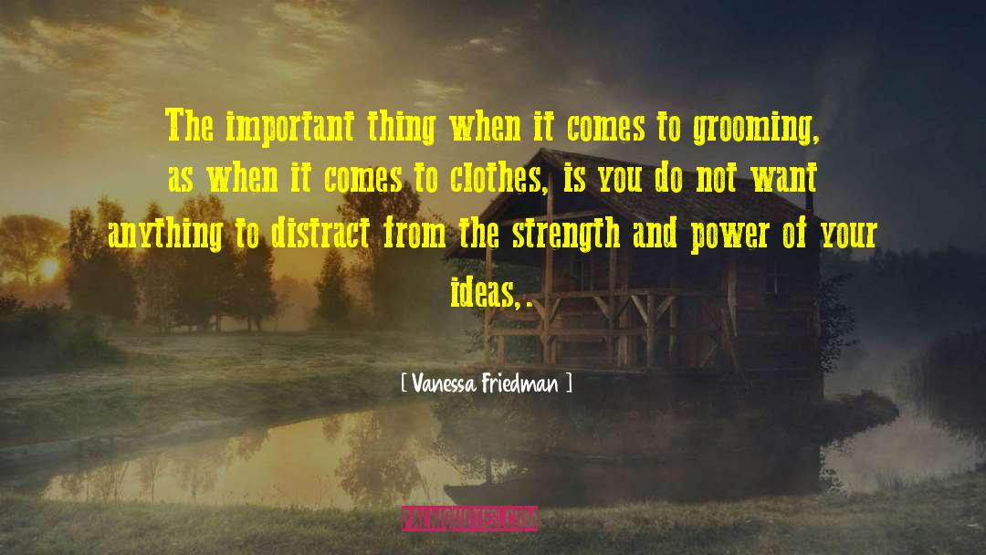 Dirty Clothes quotes by Vanessa Friedman