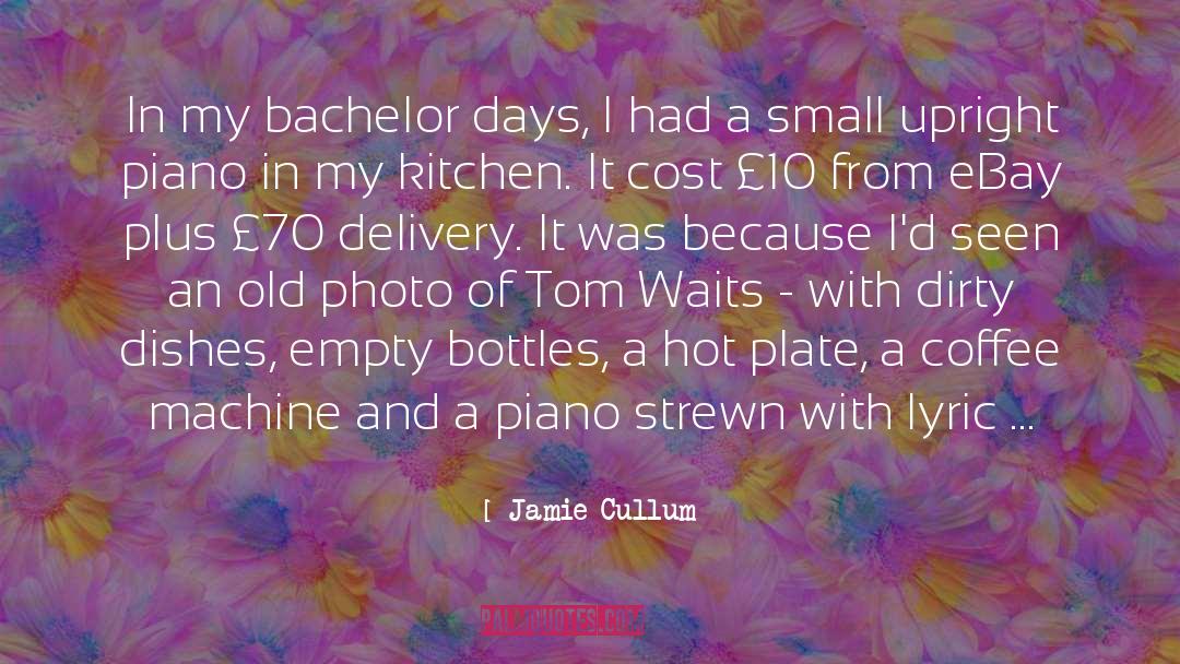 Dirty Dishes quotes by Jamie Cullum