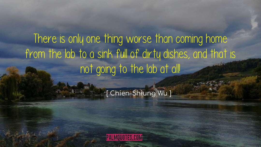 Dirty Dishes quotes by Chien-Shiung Wu