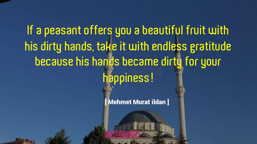 Dirty Hands quotes by Mehmet Murat Ildan