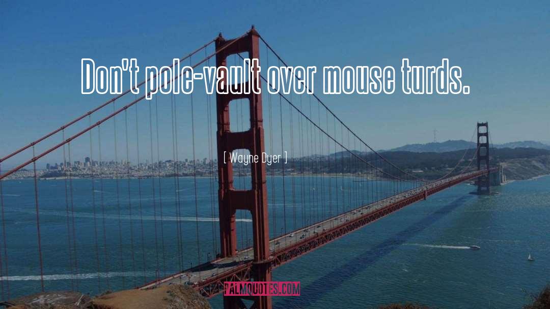 Dirty Pole Vault quotes by Wayne Dyer