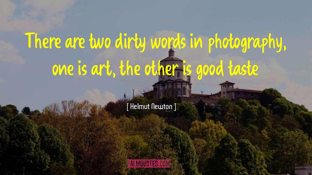 Dirty Tricks quotes by Helmut Newton