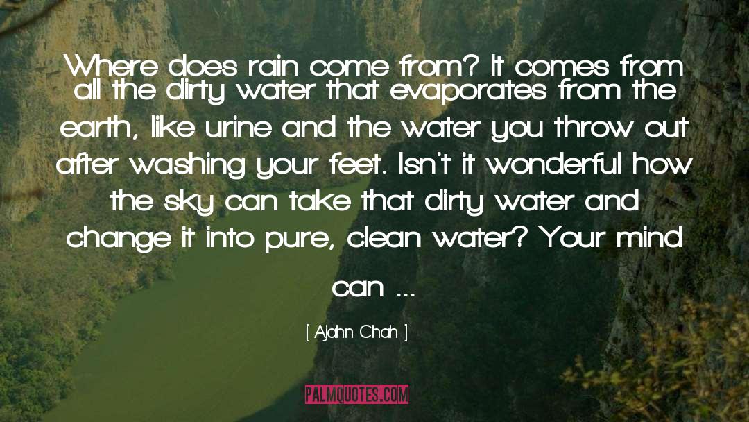 Dirty Water quotes by Ajahn Chah