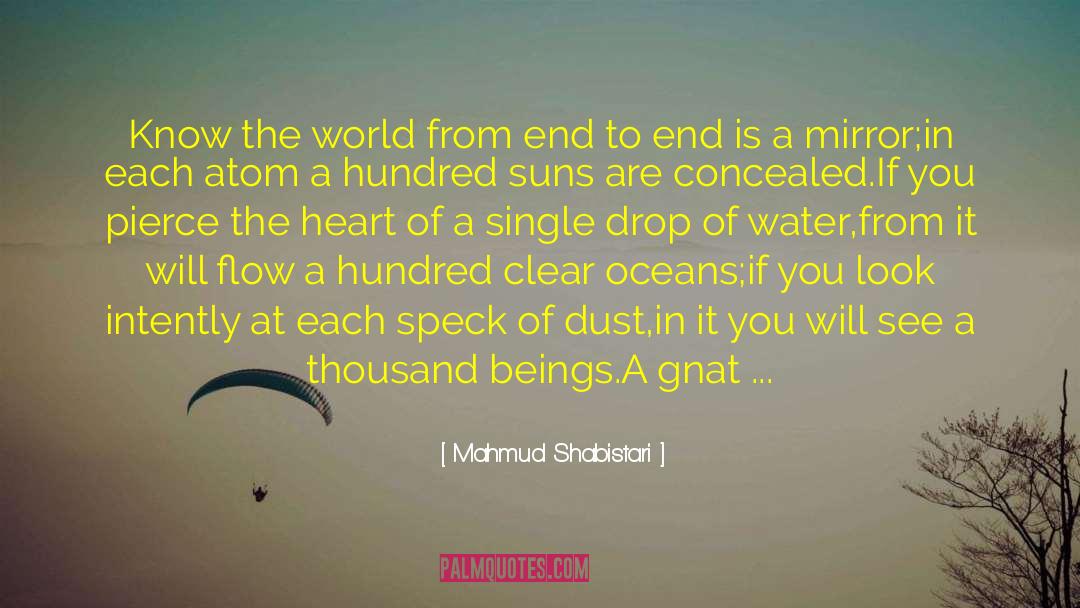 Dirty World quotes by Mahmud Shabistari